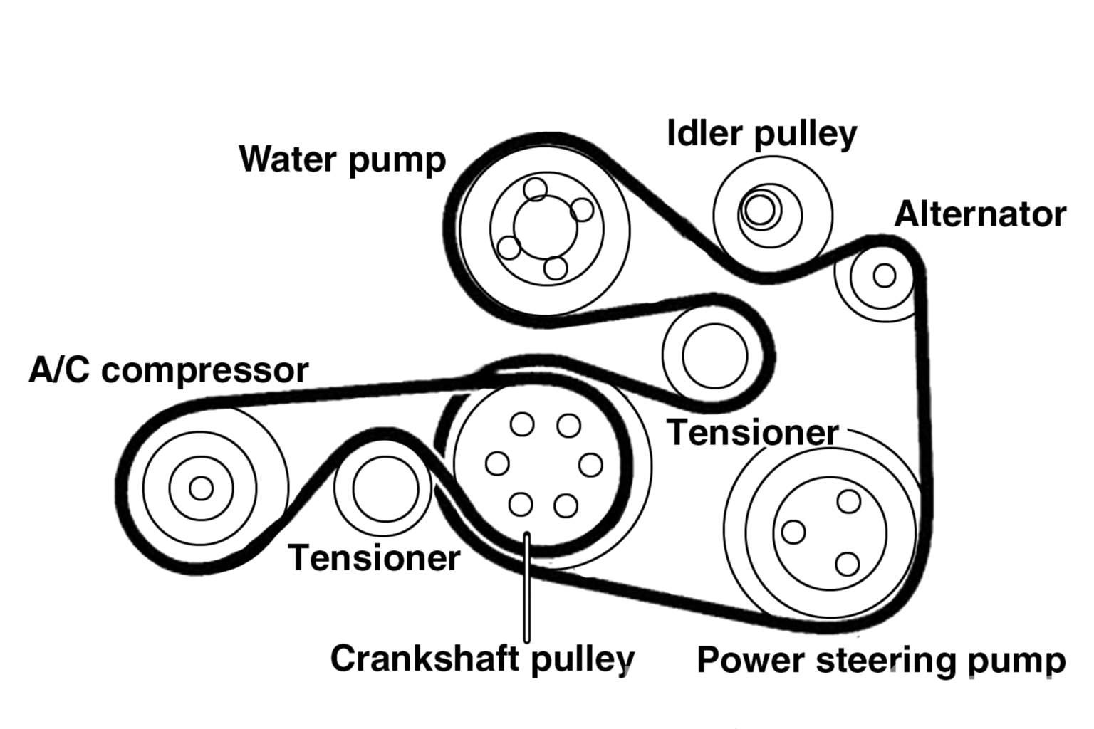 BMW E46 Drive Belts